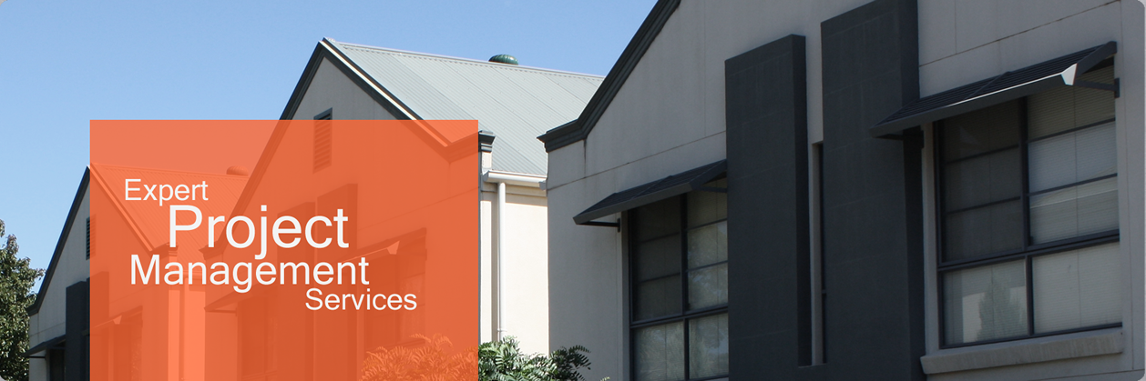 Expert Project Management Services
