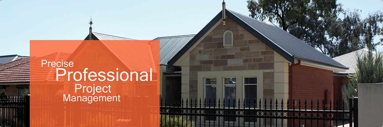 Precise Professional Project Management